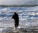 Forum :: SurfCasting